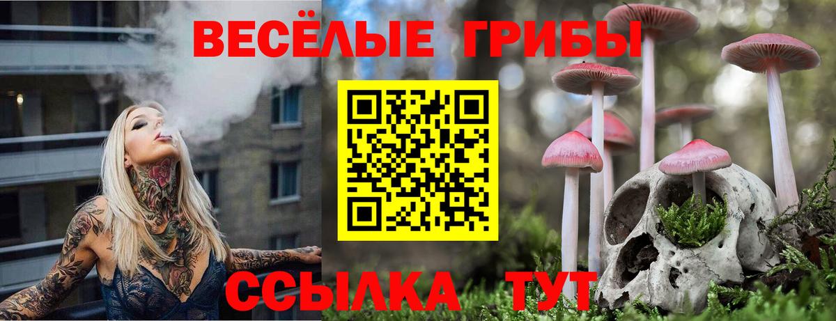 Галлюциногенные грибы Psilocybe Канаш