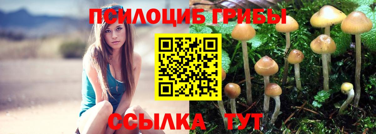 Канаш  Псилоцибиновые грибы прущие грибы  Вход с VPN 