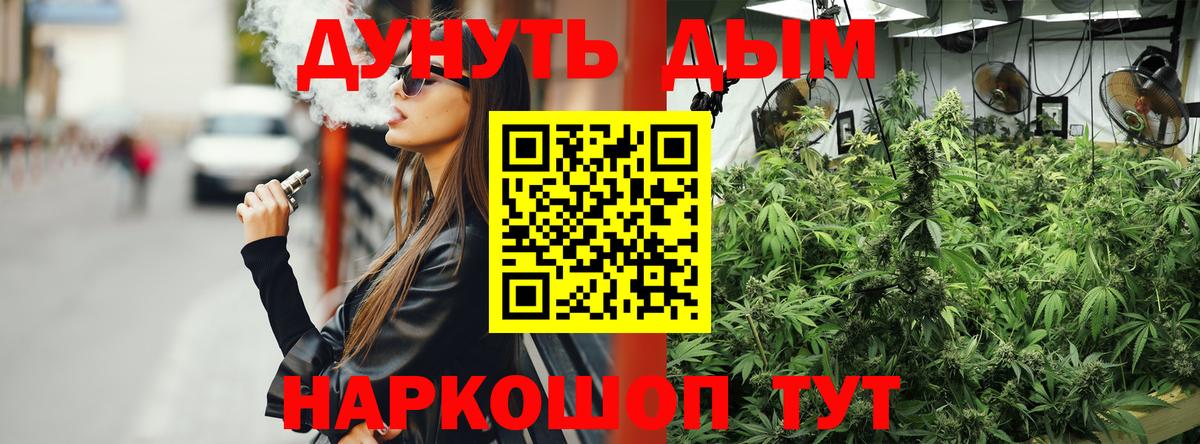 Бошки марихуана планчик Канаш